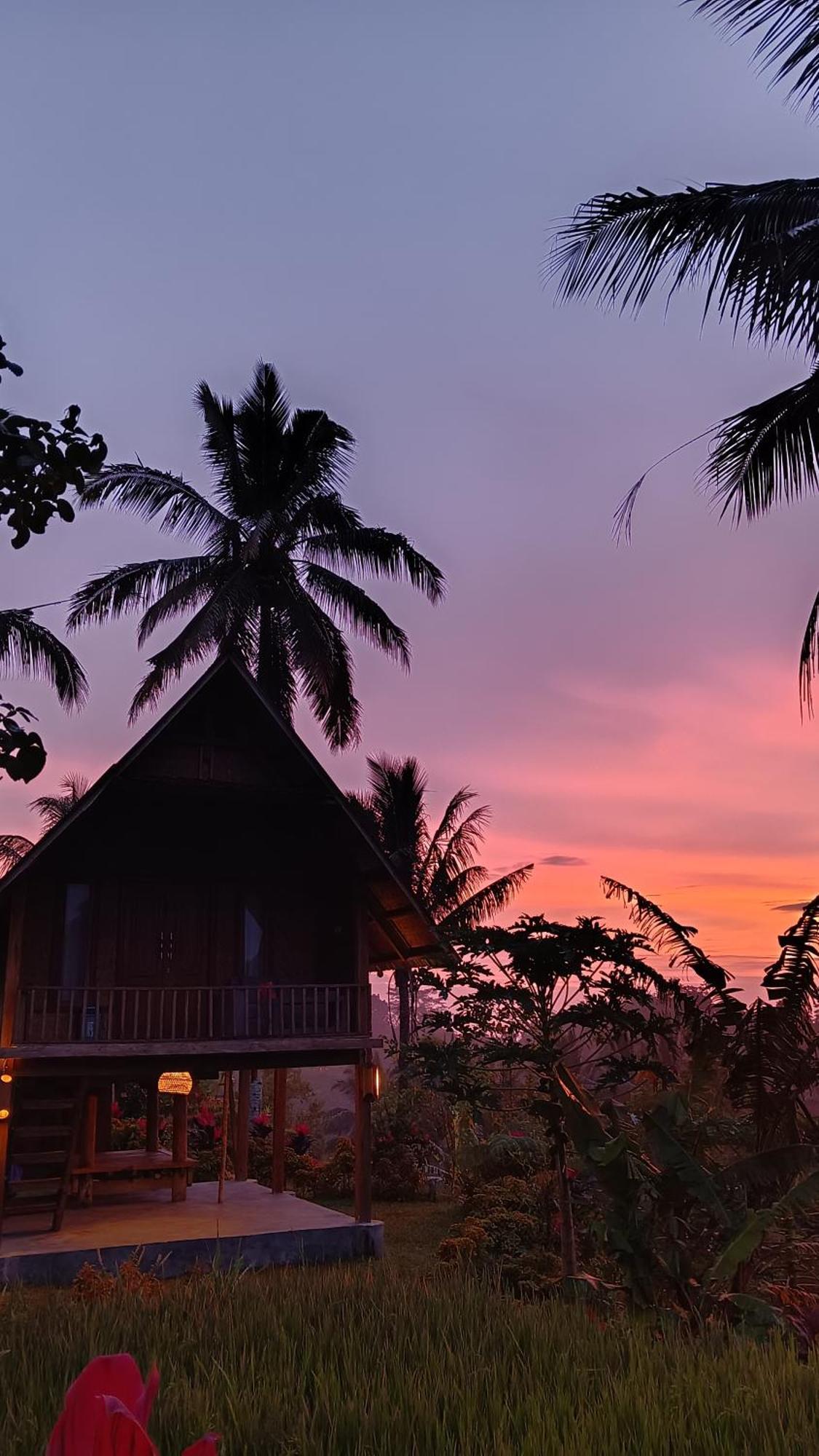 Dewi Rinjani Homestay Tetebatu Εξωτερικό φωτογραφία