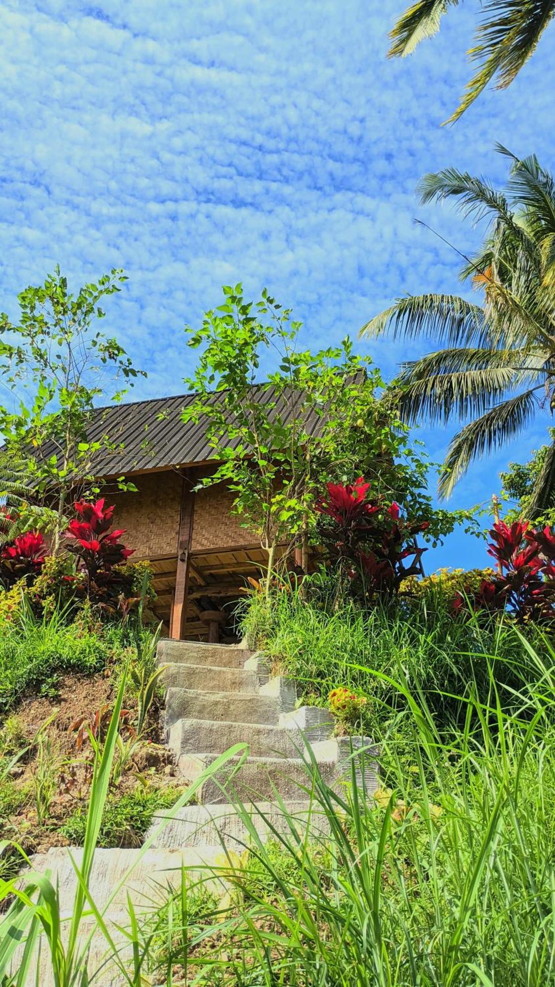 Dewi Rinjani Homestay Tetebatu Εξωτερικό φωτογραφία