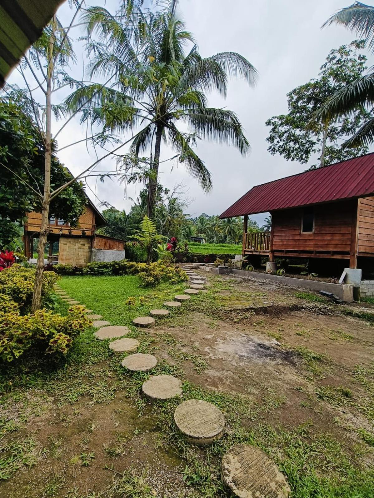 Dewi Rinjani Homestay Tetebatu Εξωτερικό φωτογραφία